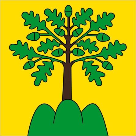 Monthey flag
