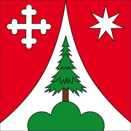 Salvan flag