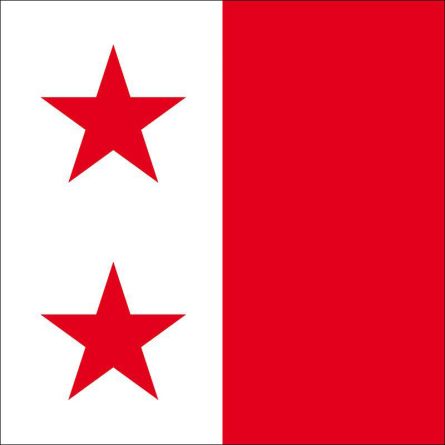 Sion flag