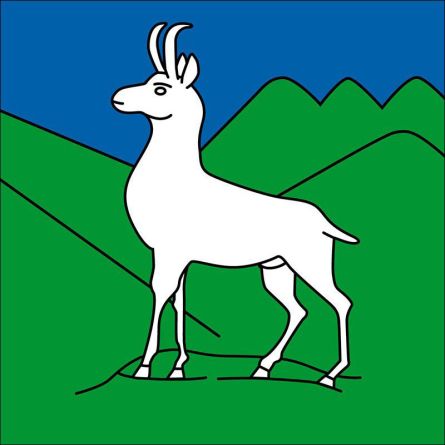 Trient flag