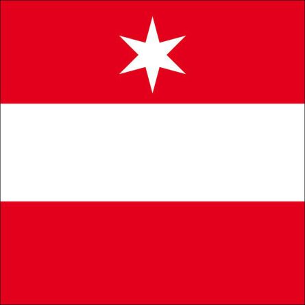 Täsch flag