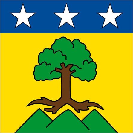 Varen flag