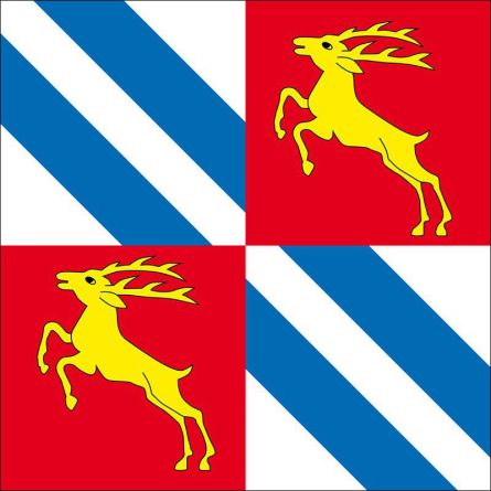 Vionnaz flag
