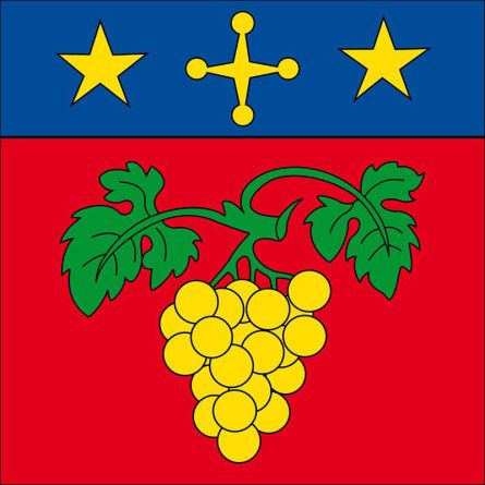 Vétroz flag