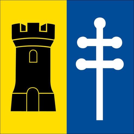 Baar flag