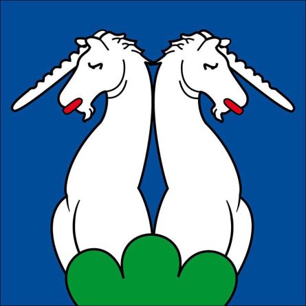 Hünenberg flag