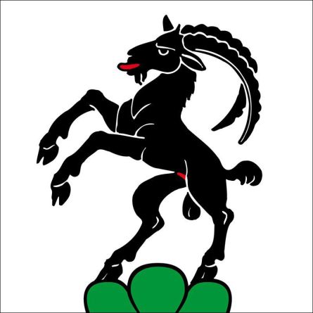 Steinhausen flag