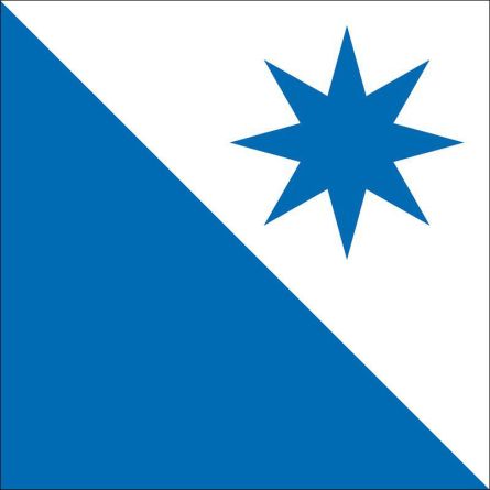 Bachs flag