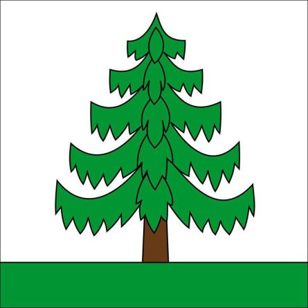 Bauma flag