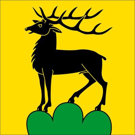 Eglisau flag