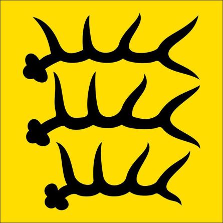 Glattfelden flag