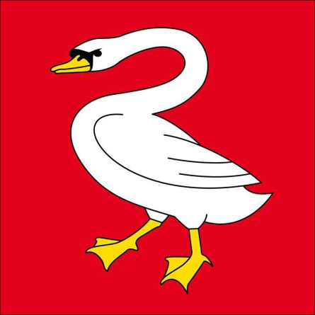 Horgen flag