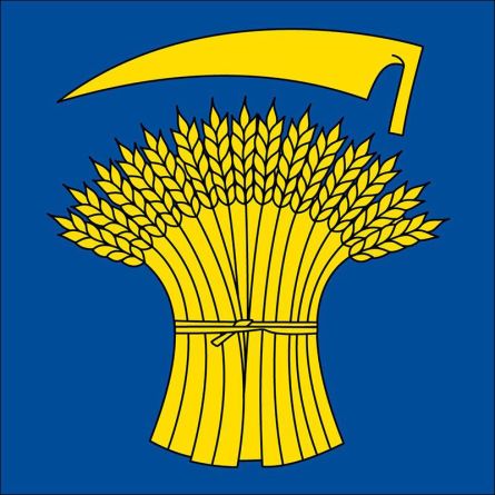 Hüntwangen flag