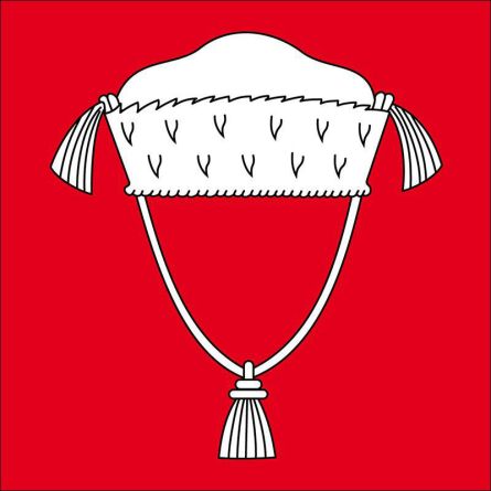 Knonau flag