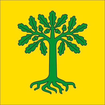 Marthalen flag