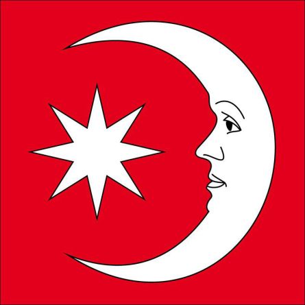 Niederweningen flag