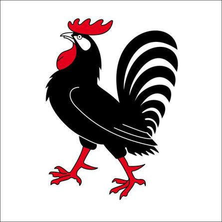 Ottenbach flag