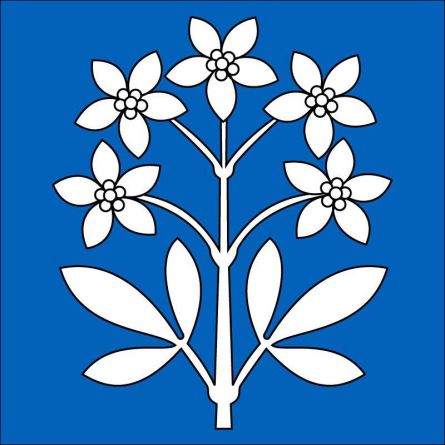 Schleinikon flag