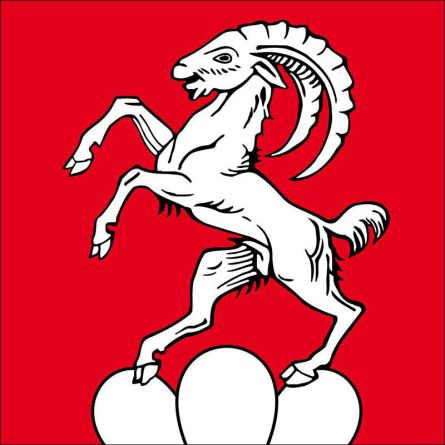 Steinmaur flag
