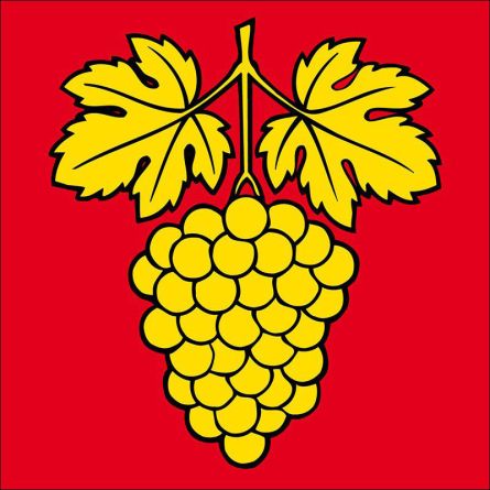 Truttikon flag