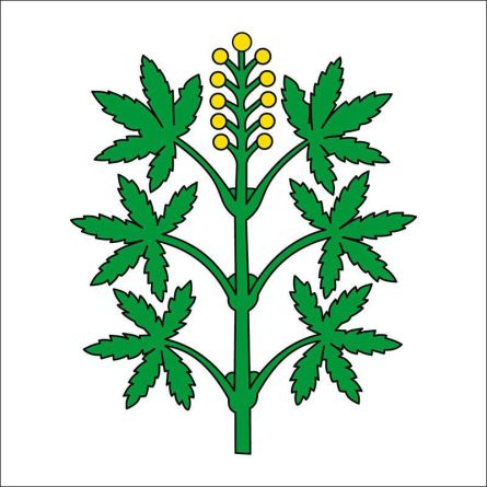 Wangen Brüttisellen flag
