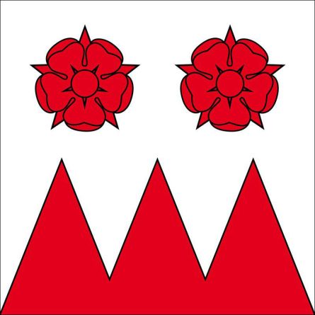 Wasterkingen flag