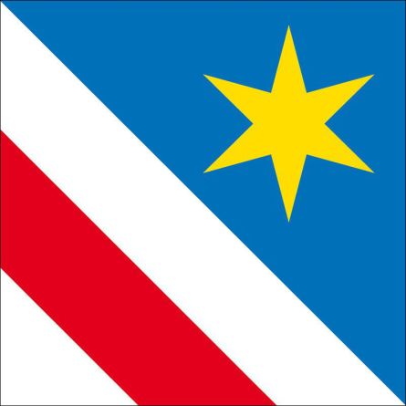 Zollikon flag